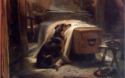 Nuestros perros sienten el dolor de las personas