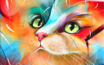 El efecto curador de los gatos para el ser humano