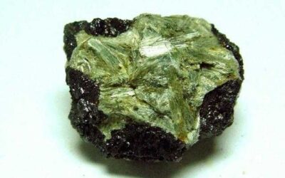 Actinolita