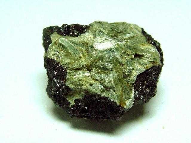 Actinolita
