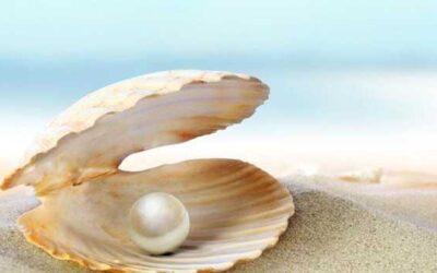 Perlas