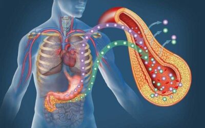 Hierbas naturales para aliviar el pancreas