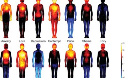 El color de nuestras 14 emociones básicas