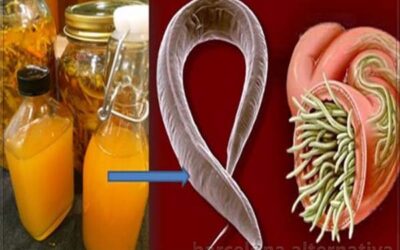 Antibiótico casero de hecho con hierbas de nuestro huerto