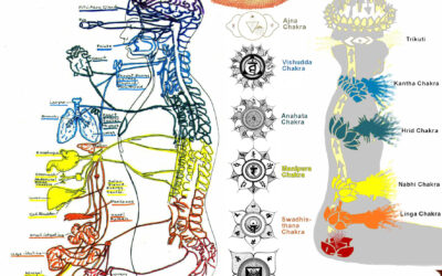 MAPA EMOCIONAL VERTEBRAL