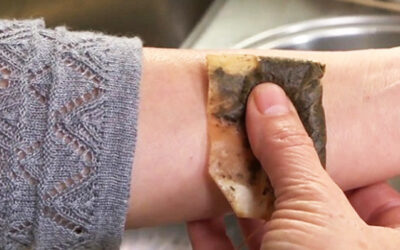 Trucos para reutilizar las bolsas de té