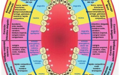 Los dientes y su relación emocional