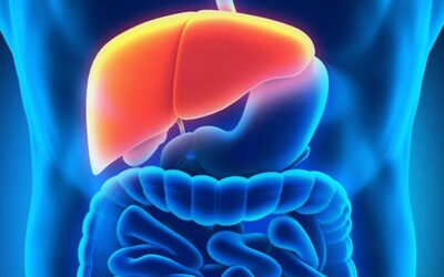 TERAPIA EMOCIONAL Y ÓRGANOS INTERNOS: El Hígado