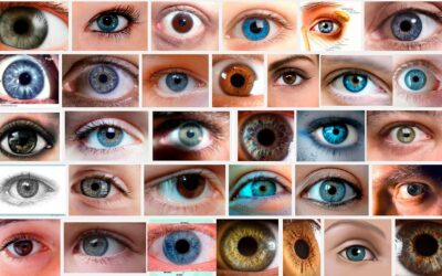 Los ojos son el reflejo del alma y de tus organos
