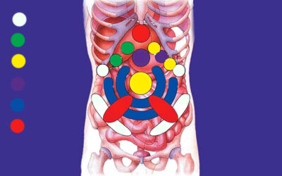 Abdomen y puntos de presion