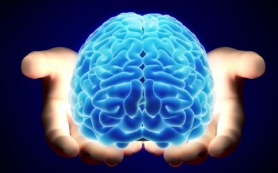 Los cuatro errores que nuestro cerebro suele cometer