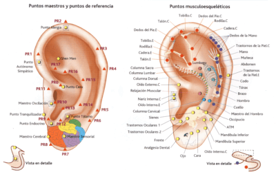 Masaje en la oreja para una vida recomendable