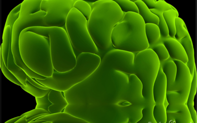 La transformación de la mente a través del poder de la gratitud