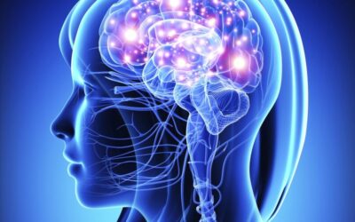 Los 25 estados mentales de poder que se logran con meditación