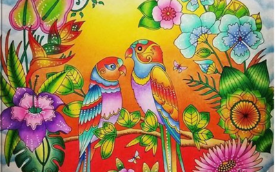 ¿Sabes el significado secreto de las aves?