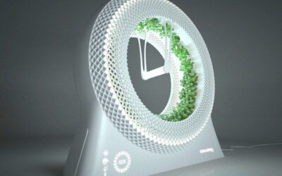 Cómo Construir un Jardín Hidropónico