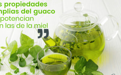 Usos medicinales del Bejuco