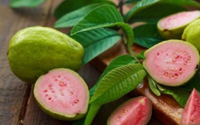 Restaura tu cabello de forma natural