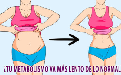¿Que le pasa a tu cuerpo cuando consumes almidón?